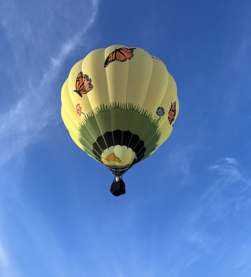 Envolée-FV22-papillon